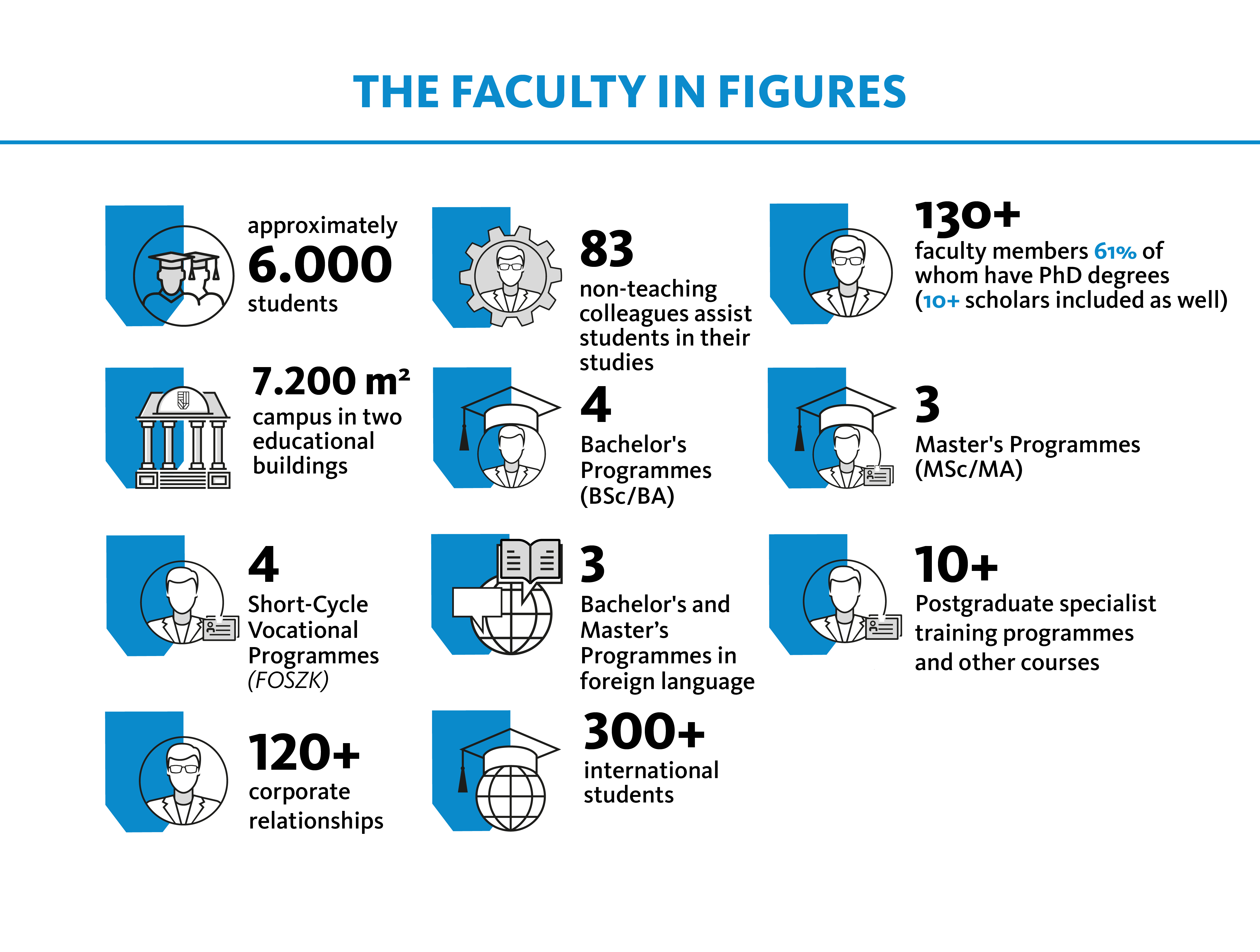 tha faculty in figures (infographics)